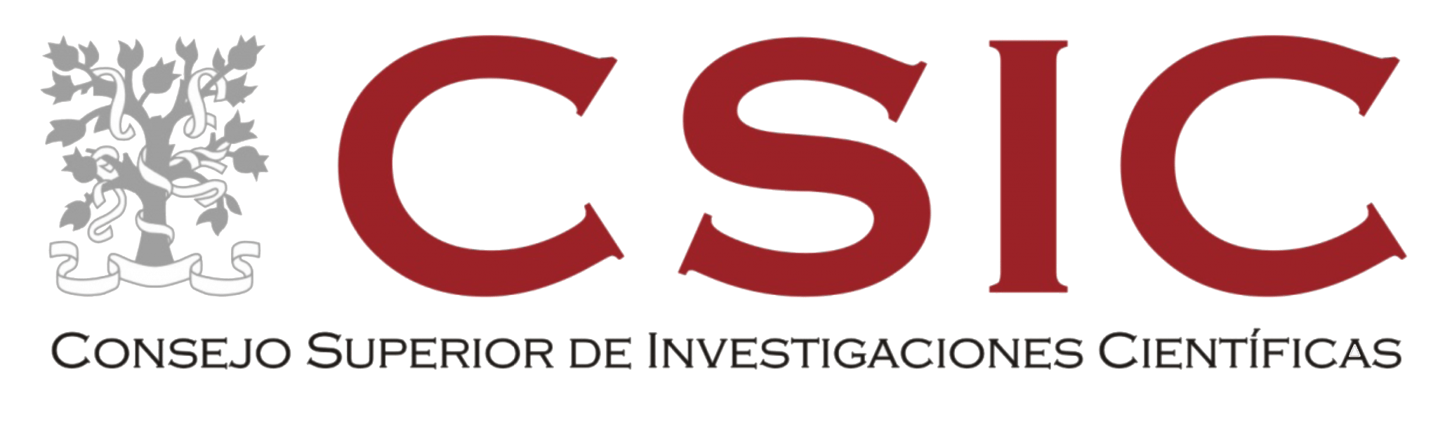 CSIC_logo copy