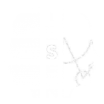 logo_ibsen_rs_blanco